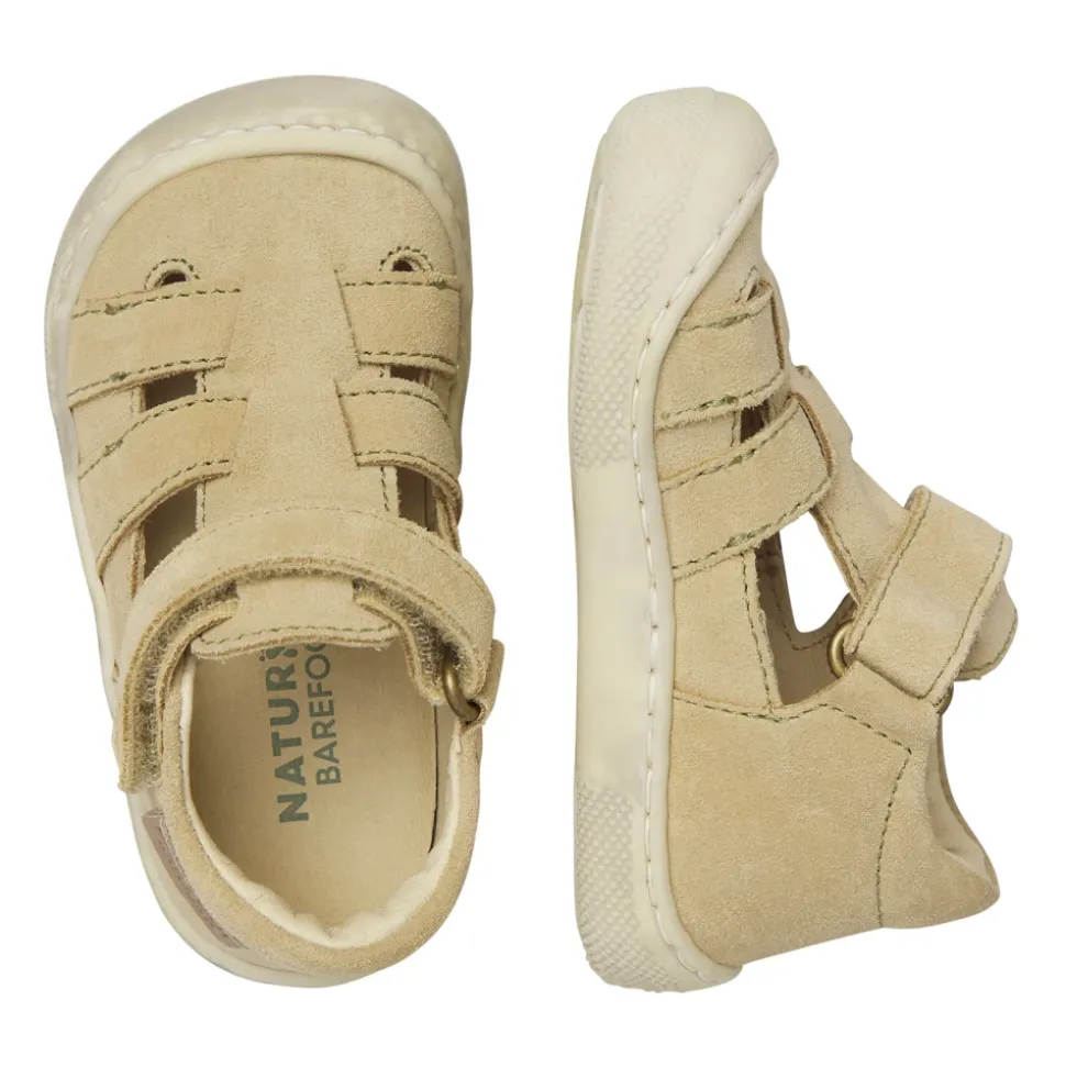 Barefoot Fildi