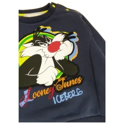 Bluza Crewneck