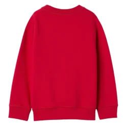 Bluza z dżerseju z bawełny filcowanej