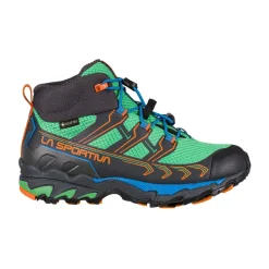 Buty Raptor II Mid GTX