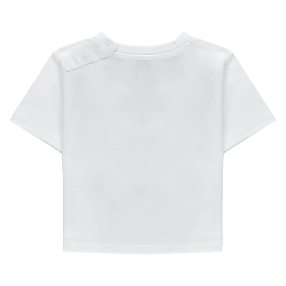 Cedar T-shirt