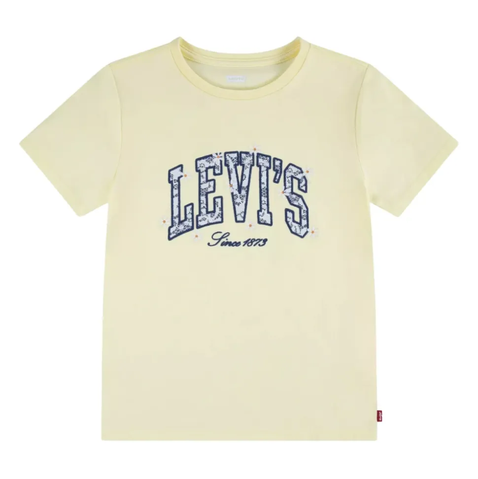 Chambray Applique To