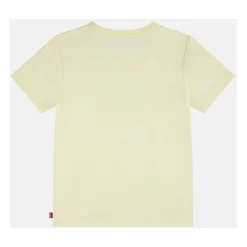 Chambray Applique To