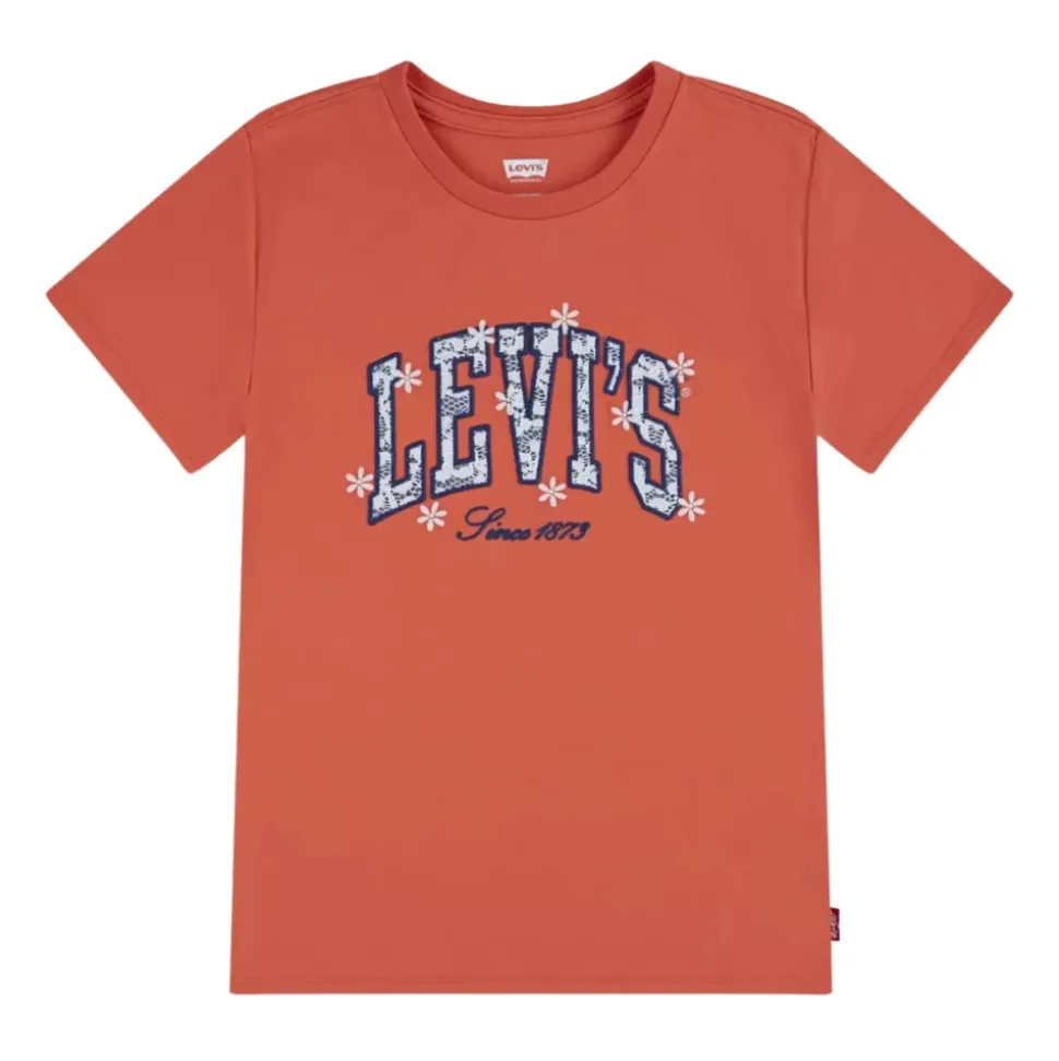 Chambray Applique Top
