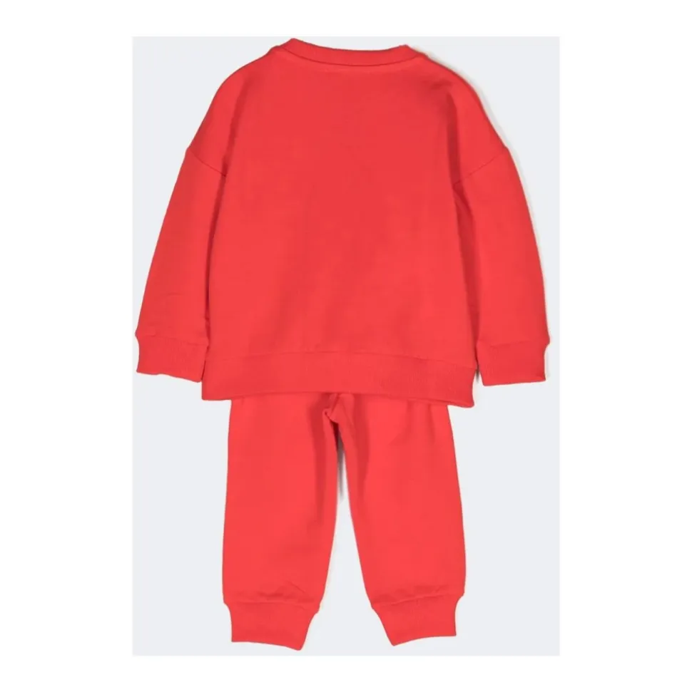 Dres z Misiem Teddy