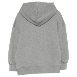 Hoodie Iconic