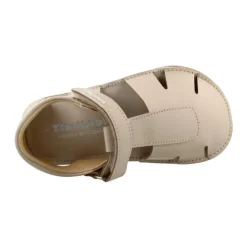 L560 Albertic