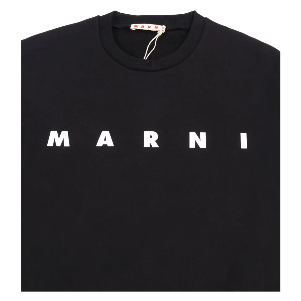 Maglia