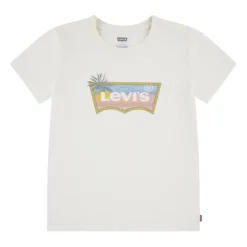 Ombre Batwing Tee