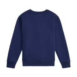 Polo Ralph Lauren Swetry Niebieski