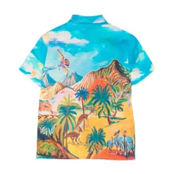 Shirts
