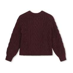 Sweter Bordeaux Pull