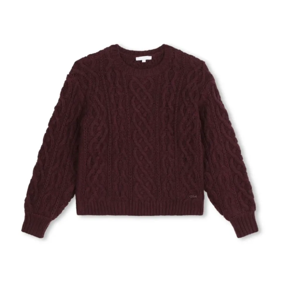 Sweter Bordeaux Pull