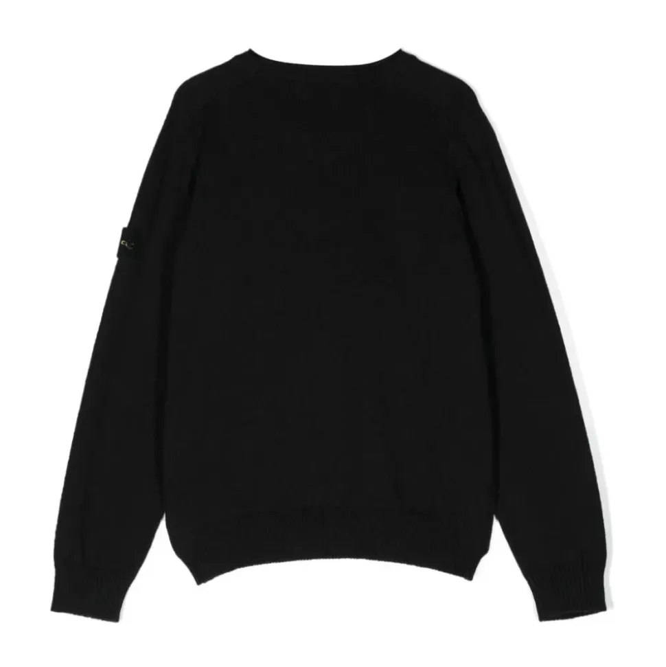 Sweter Crewneck z naszywką Compass