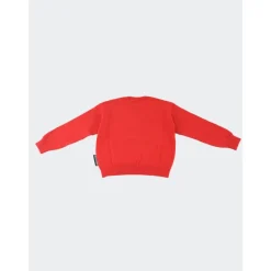 Sweter z Misiem Teddy